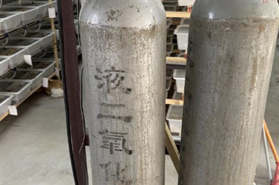 Buntáistí na bpéisteanna béile mar bheatha éisc